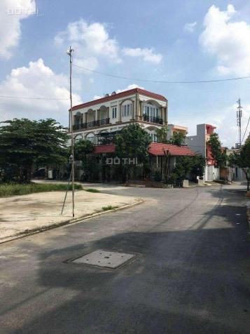 4318059 ảnh đại diện 1