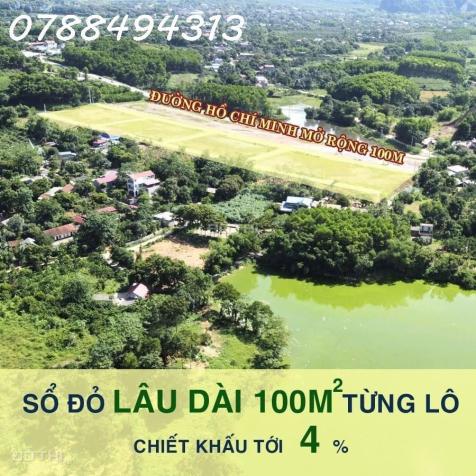 4317923 ảnh đại diện 1
