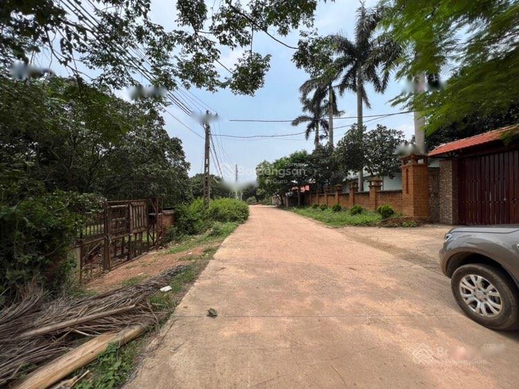 4318160 ảnh đại diện 1