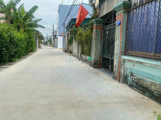 4317525 ảnh đại diện 1