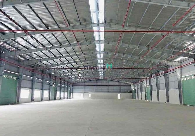 4317002 ảnh đại diện 1