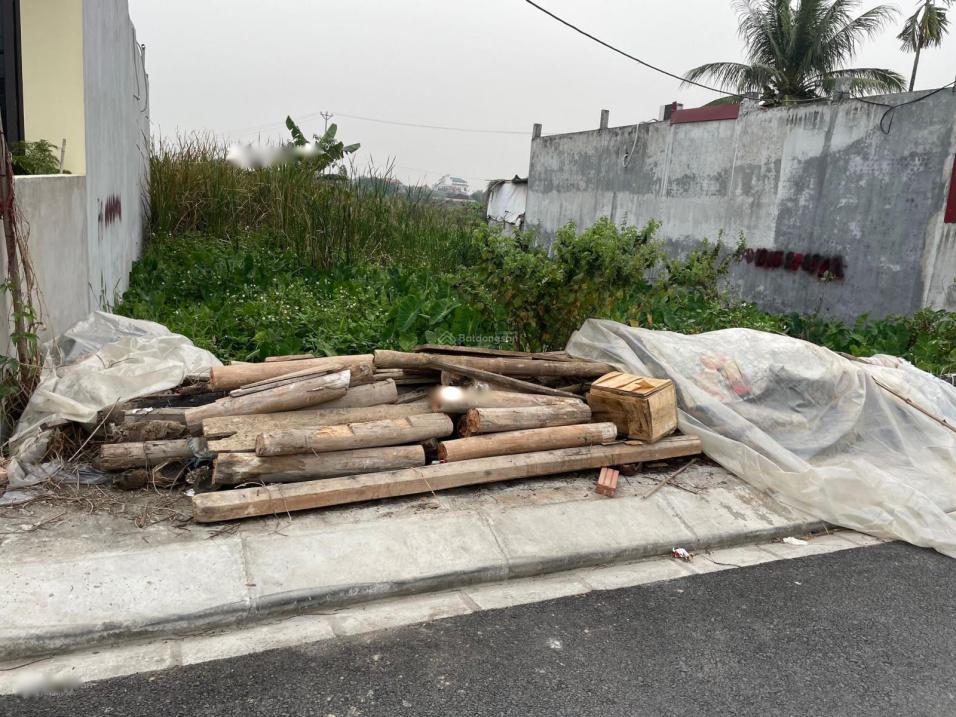 4318075 ảnh đại diện 1