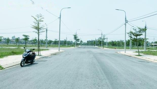 4317061 ảnh đại diện 1