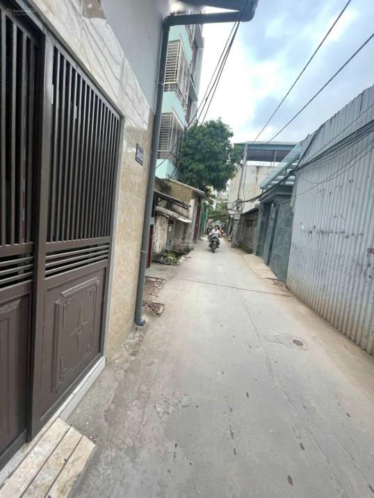 4316344 ảnh đại diện 1