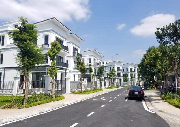 4316784 ảnh đại diện 2