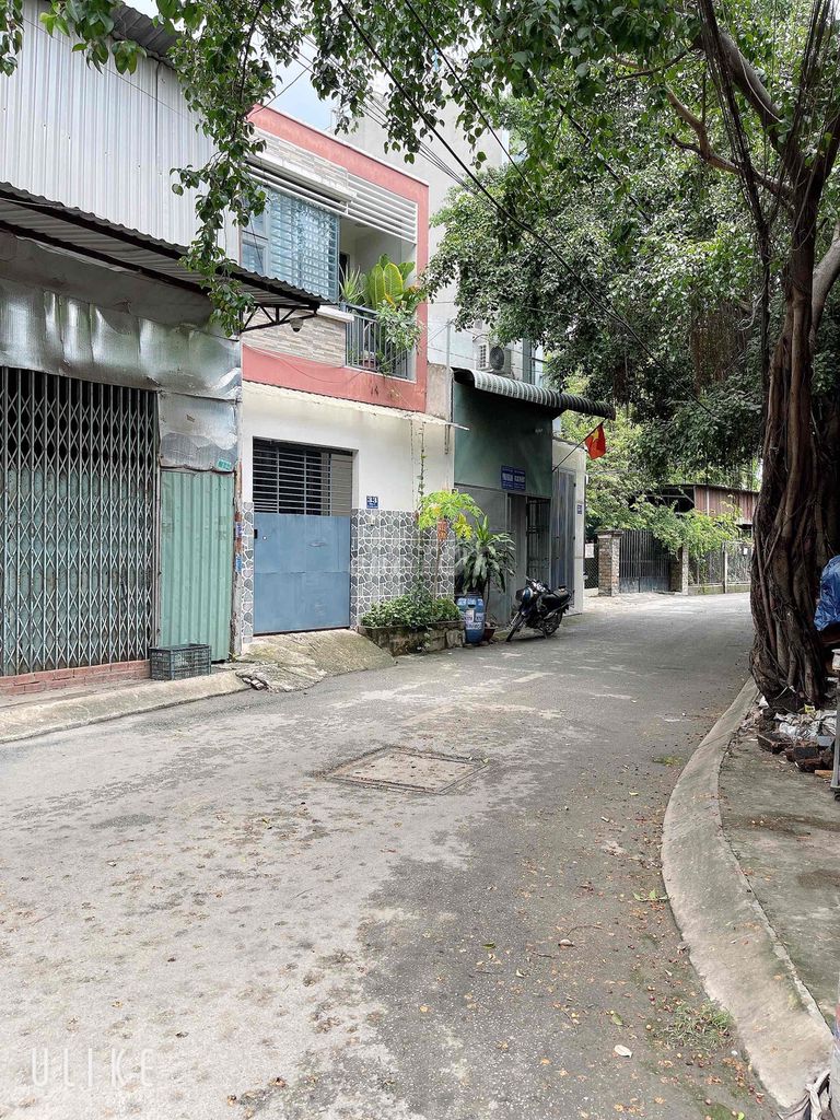 4318216 ảnh đại diện 1