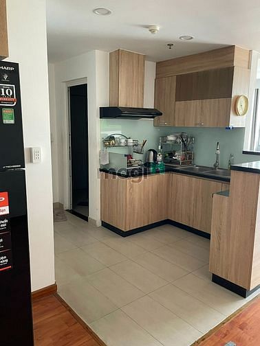 4316009 ảnh đại diện 2