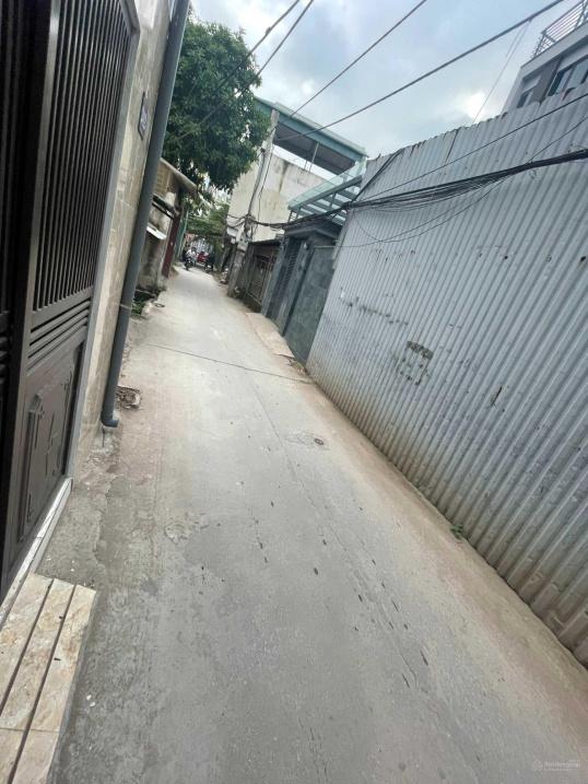 4316344 ảnh đại diện 2