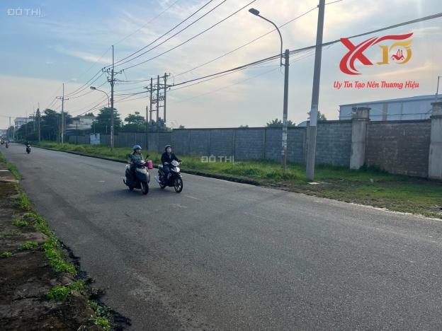 4318181 ảnh đại diện 2