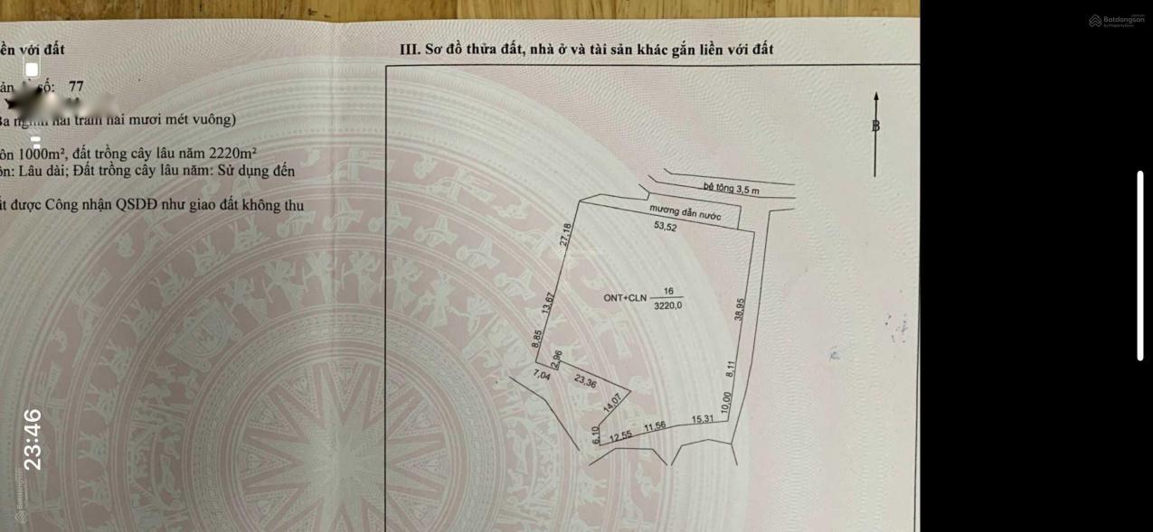 4317835 ảnh đại diện 1