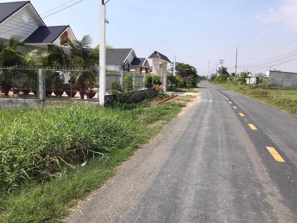 4316871 ảnh đại diện 2