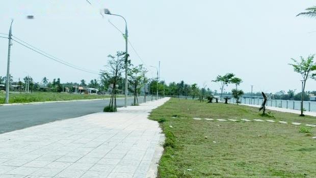 4317061 ảnh đại diện 1