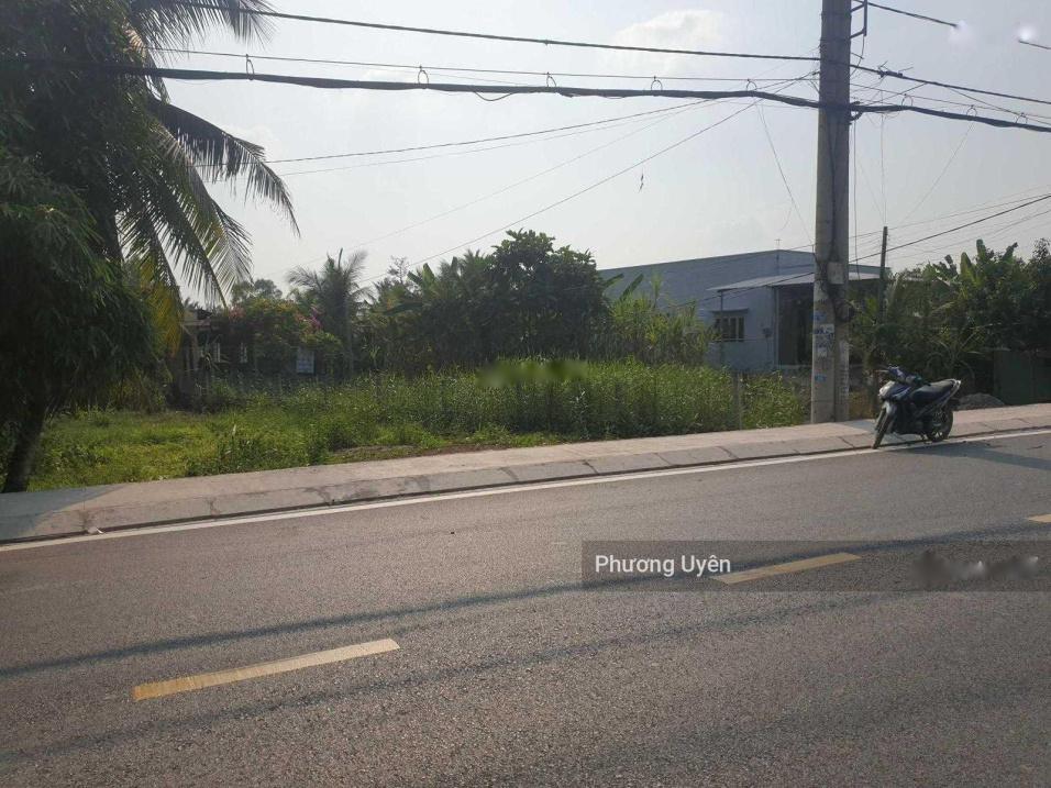 4317691 ảnh đại diện 2