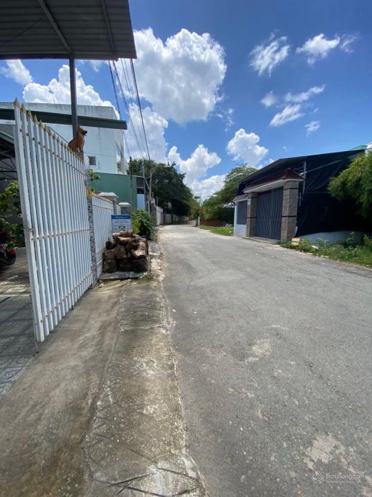 4317909 ảnh đại diện 1