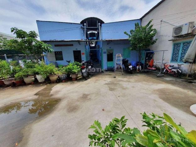 4318059 ảnh đại diện 1