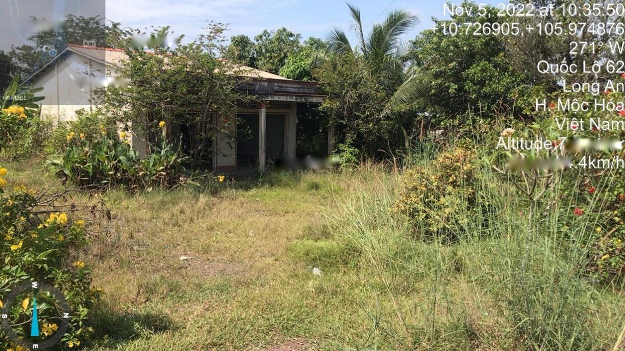 4316283 ảnh đại diện 2