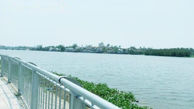 4317061 ảnh đại diện 2