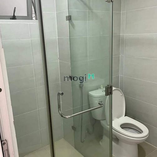 4316007 ảnh đại diện 2