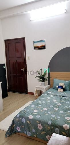 4316076 ảnh đại diện 2