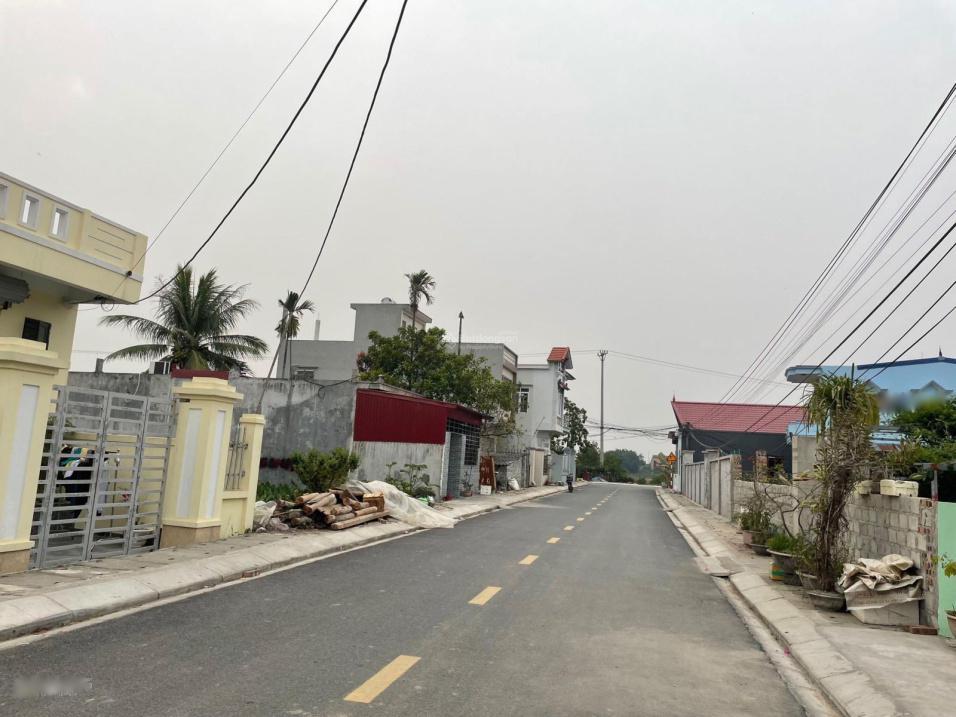 4318075 ảnh đại diện 2