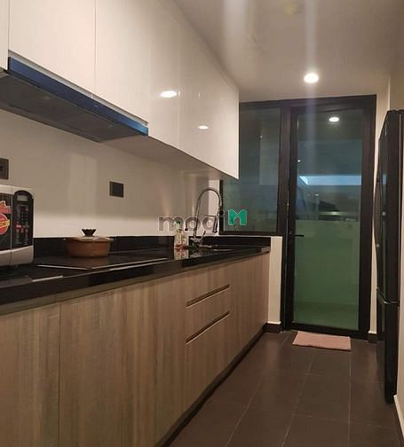 4316785 ảnh đại diện 2