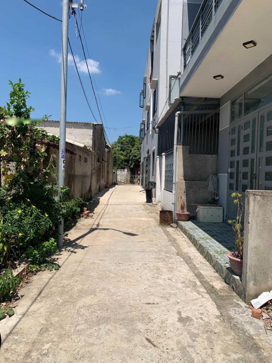 4317528 ảnh đại diện 1