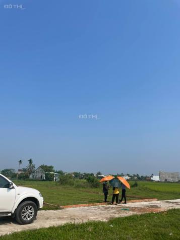 4317974 ảnh đại diện 1
