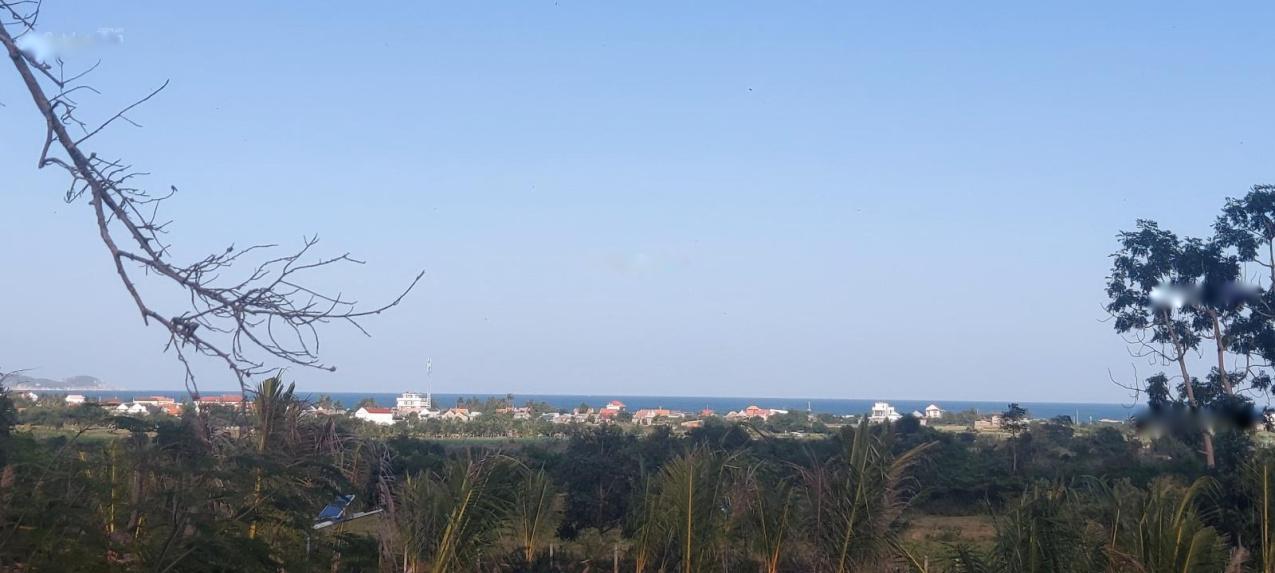 4316185 ảnh đại diện 1