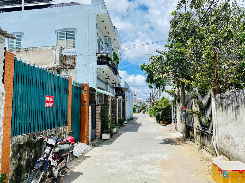 4318280 ảnh đại diện 2