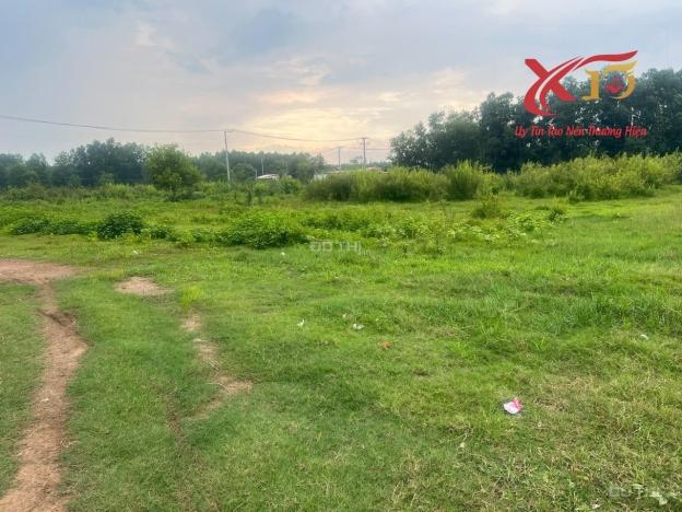 4318181 ảnh đại diện 1