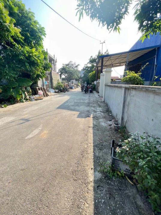 4318095 ảnh đại diện 2