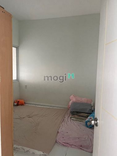 4316880 ảnh đại diện 2