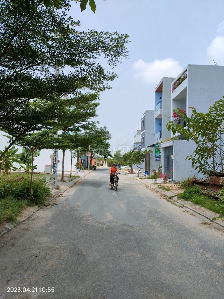 4318001 ảnh đại diện 2