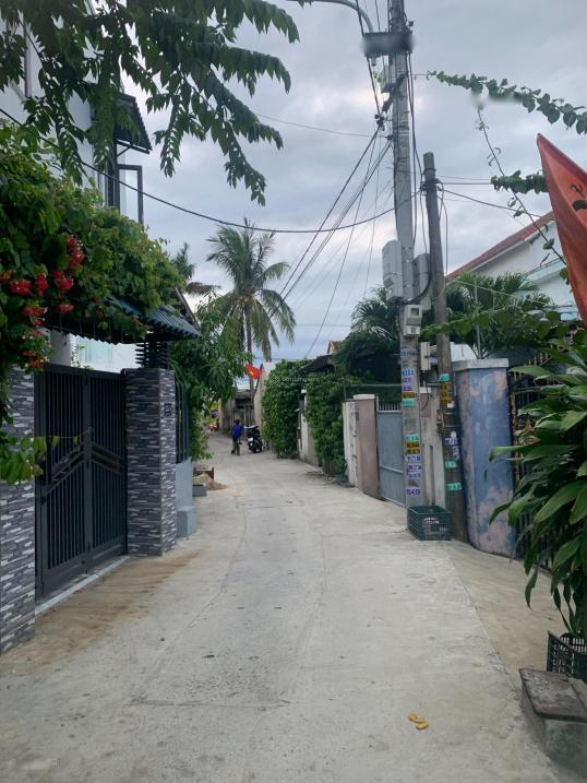 4317529 ảnh đại diện 1