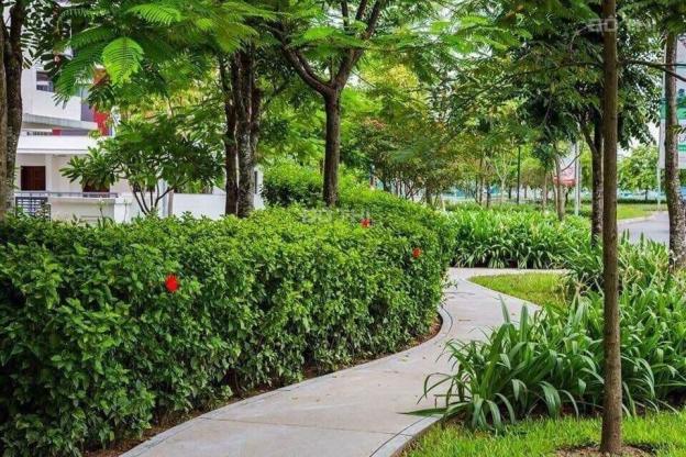 4316784 ảnh đại diện 1