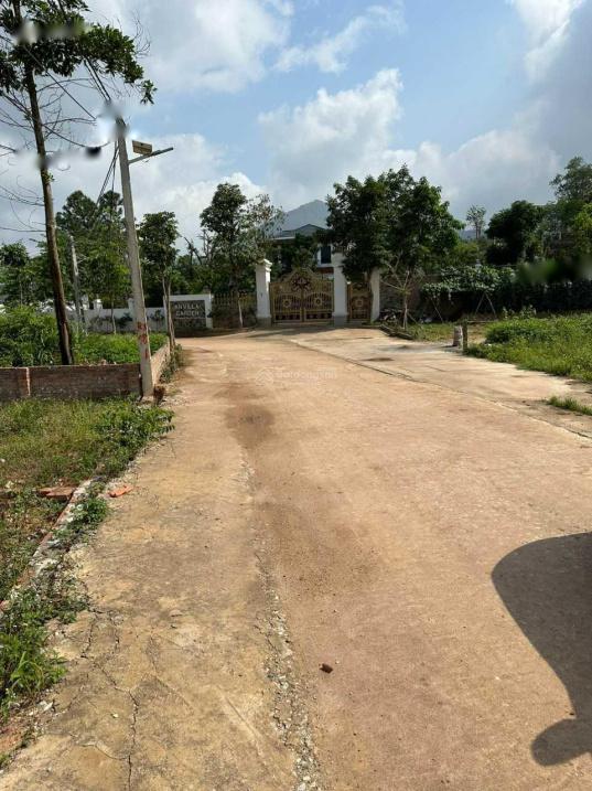 4318185 ảnh đại diện 1