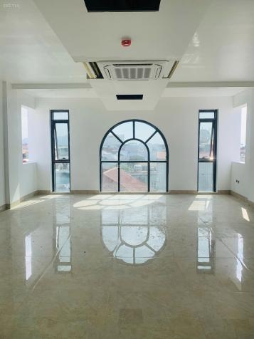 4317709 ảnh đại diện 2