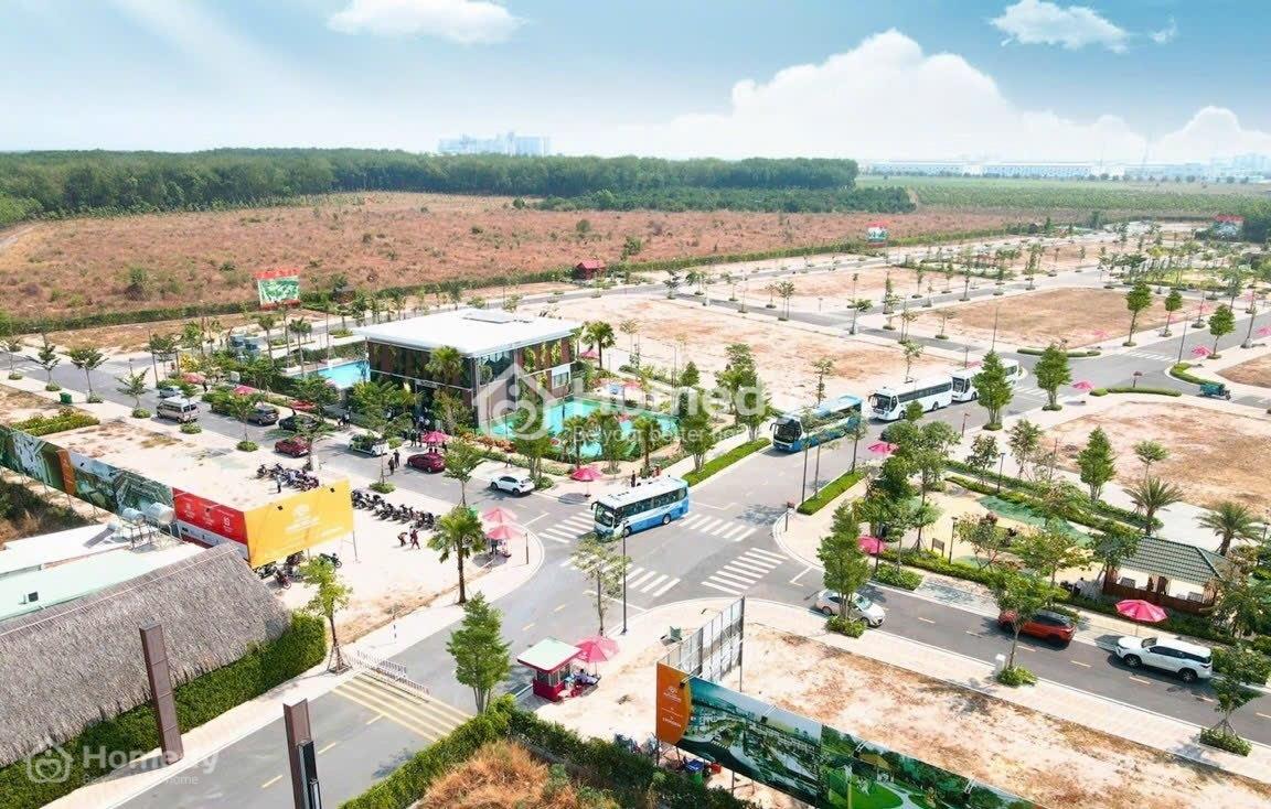 4315981 ảnh đại diện 1