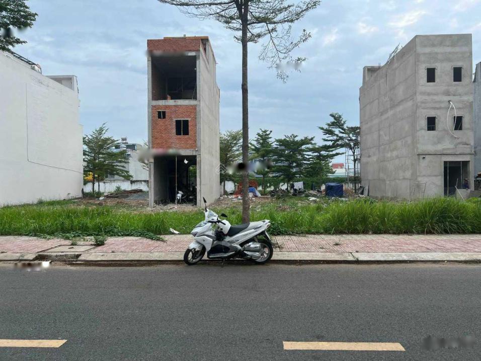 4317947 ảnh đại diện 2