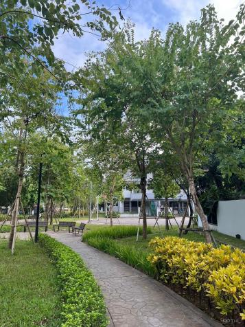 4316784 ảnh đại diện 1