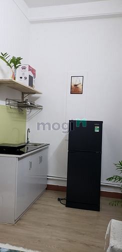 4316076 ảnh đại diện 1