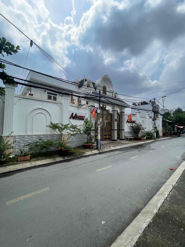 4318216 ảnh đại diện 2