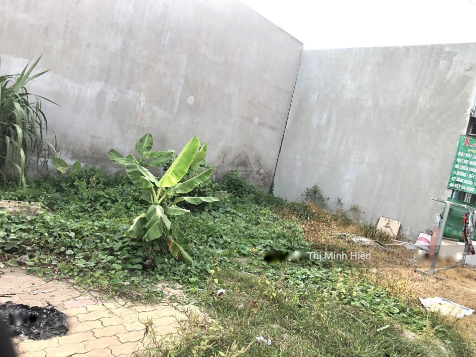 4317702 ảnh đại diện 1