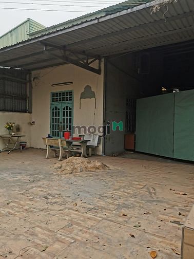 4317003 ảnh đại diện 1