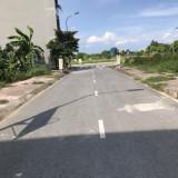 4317823 ảnh đại diện 1