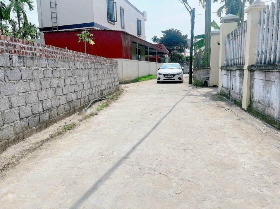 4318089 ảnh đại diện 1