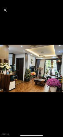 4316976 ảnh đại diện 2