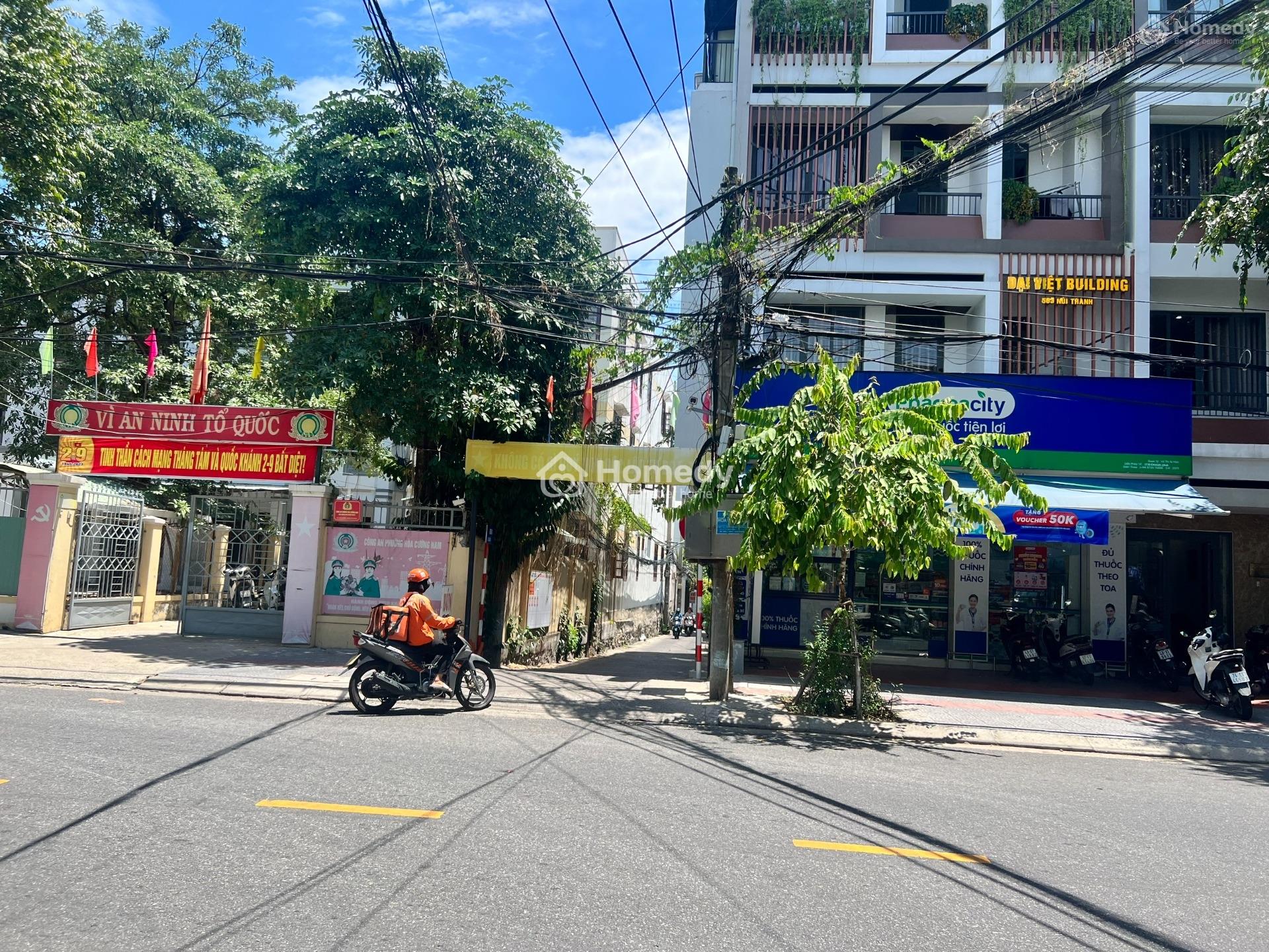 4317756 ảnh đại diện 2