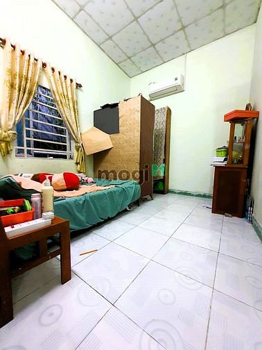 4317381 ảnh đại diện 2