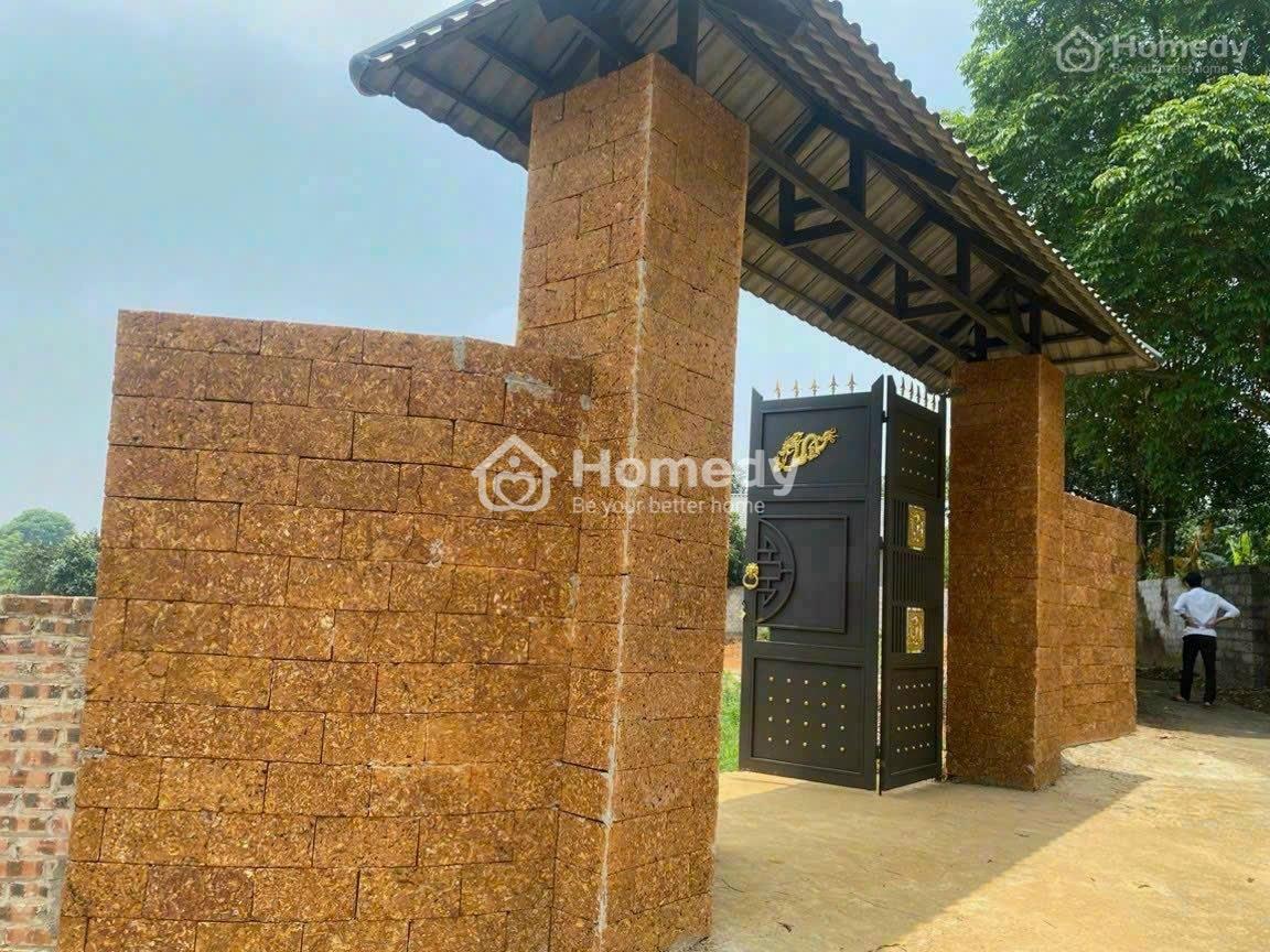4316336 ảnh đại diện 1